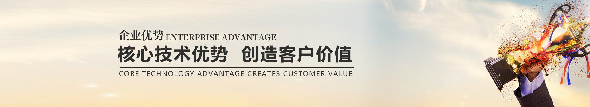 技術(shù)優(yōu)勢